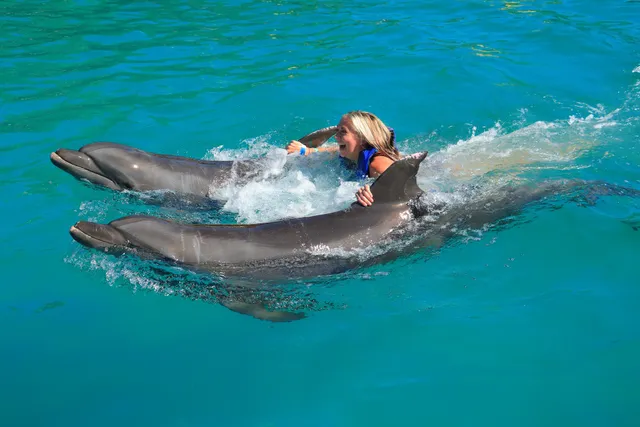 Vallarta Adventures | Marina Vallarta