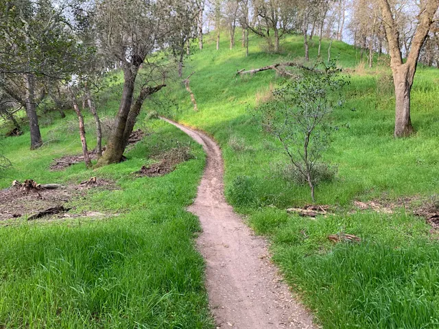 Main Avenue Trailhead