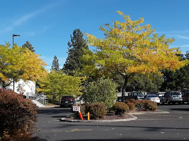 JJ Coffee Co - South (Java Jungle)