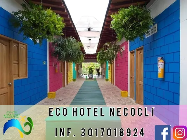 Eco Hotel Necocli