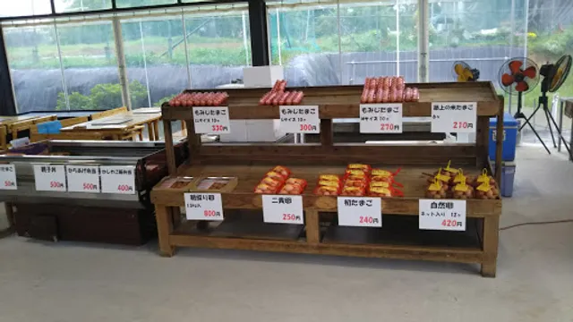 Shiroi Furusato Village (Tokunaga Chicken Farm)