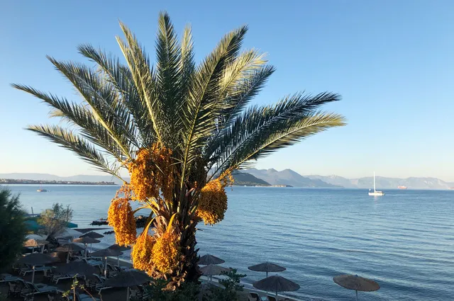 Apartament Marathona - Paralia Marathona Egina