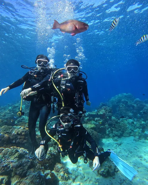 海島旅人 Diving Hostel -(團體包棟民宿、潛水旅遊必住、親子背包客住宿、人氣)