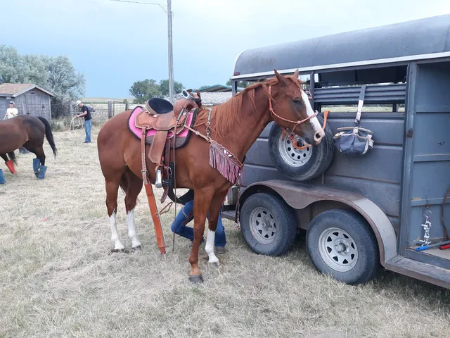 Bridgeport Fairgrounds