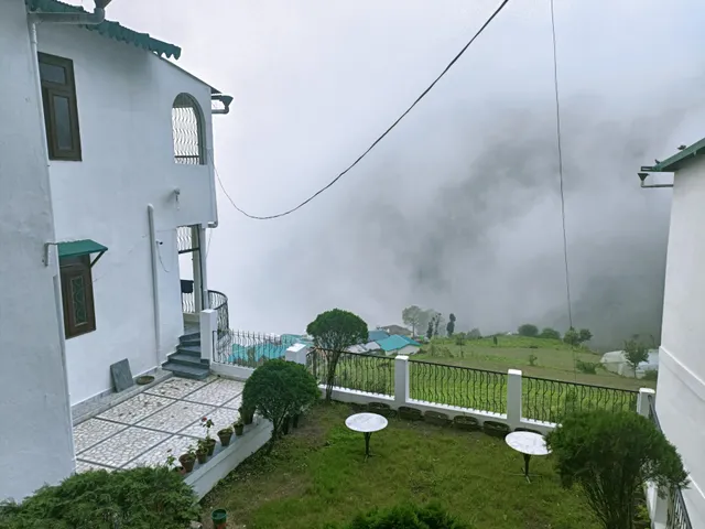 The Himalayan Tree Nainital