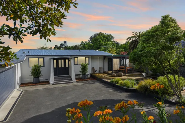 Pure Meditation & Wellness