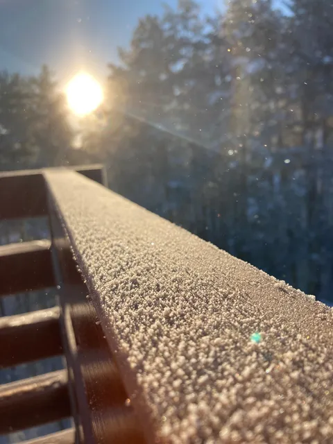 Stevovic Apartment, Pine Wood View, Zlatibor