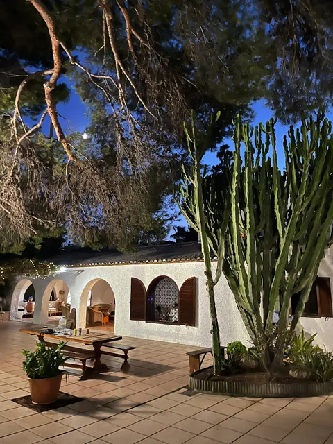 House Pink Lemon Club Casa Rural Elche