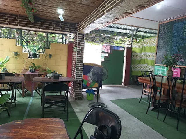 Cafenderya Waterlily