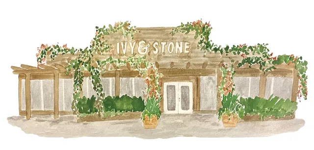 Ivy & Stone