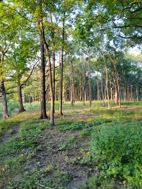 Lake County Forest Preserve