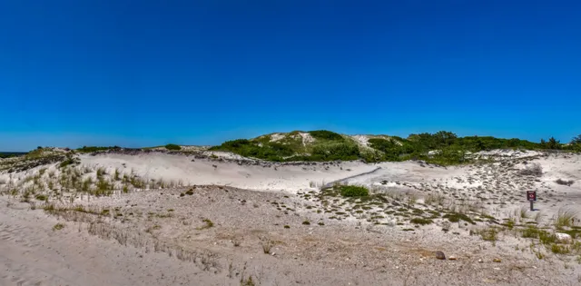 Sandy Neck Marsh Trail