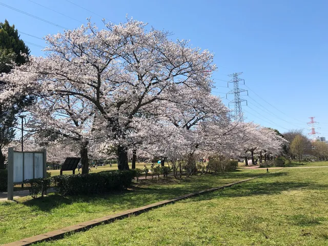 Kashiwa furusato Park