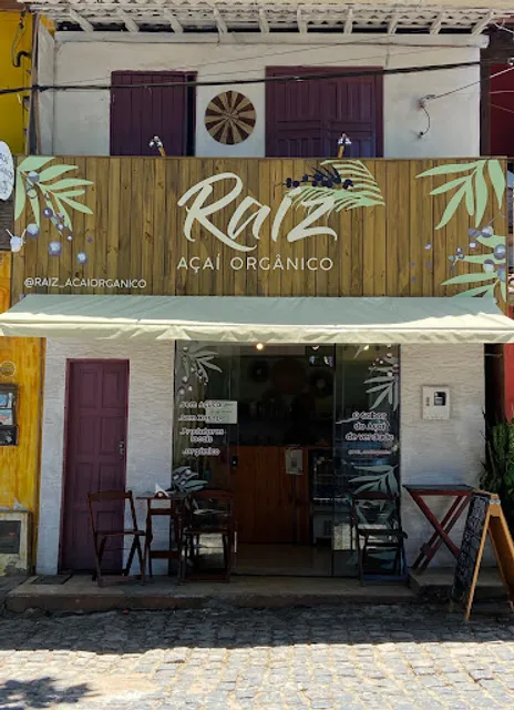 Açaí Raiz orgânico