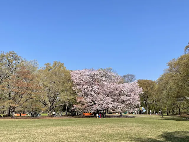 Nogawa Park