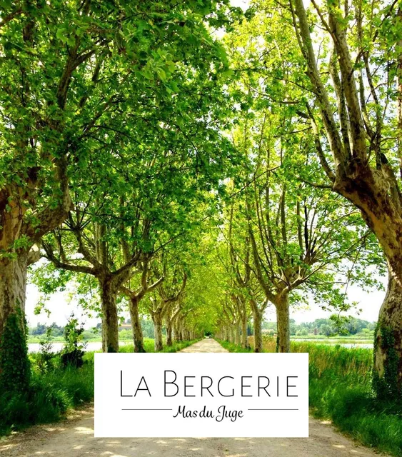 La Bergerie du Mas du Juge - Gîte en Camargue avec Piscine