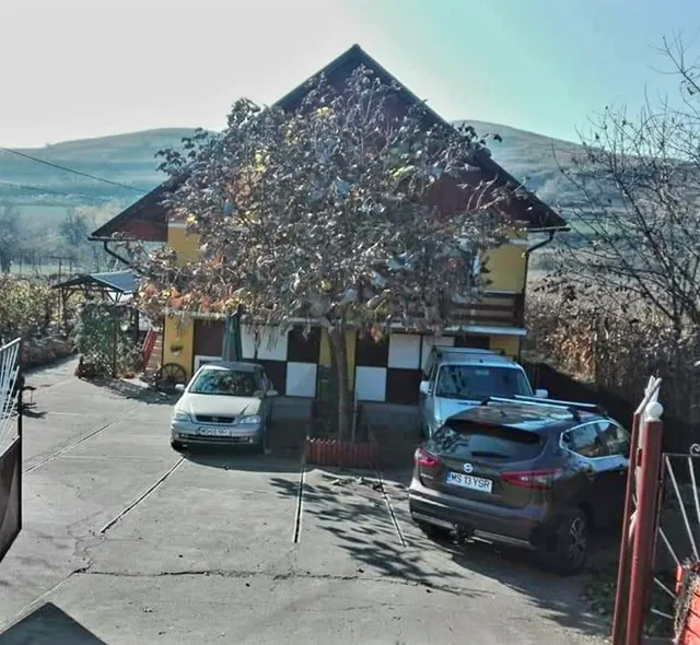 Domeniul Paradisului