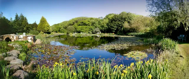 Hilton Court campsite, wedding & event venue