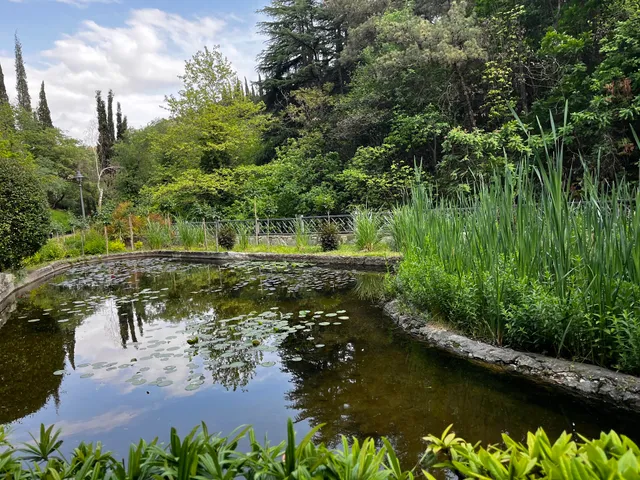 Botanical Garden Waterfall