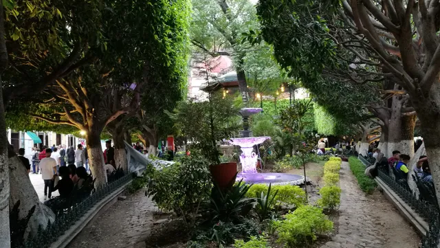 Unión Garden