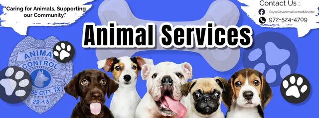 Royse City Animal Shelter