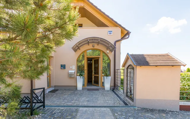 Balaton Fantasy Villa