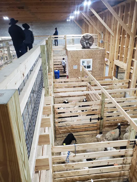 Monroe Livestock Auction