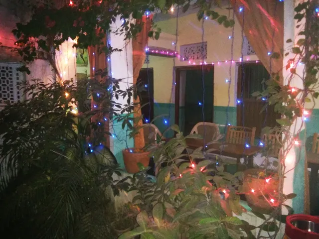 Homy Paying Guesthouse