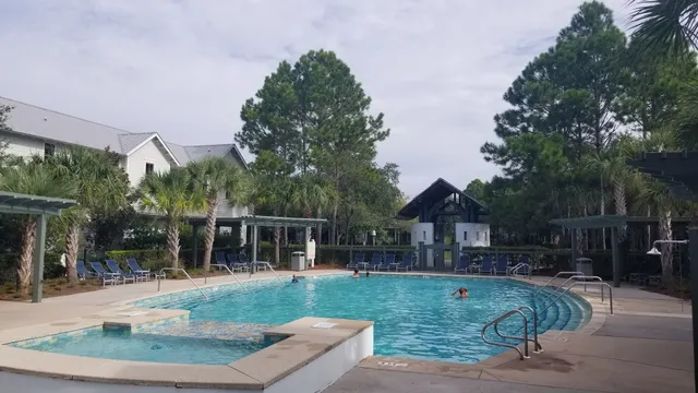 WaterColor Dragonfly Pool