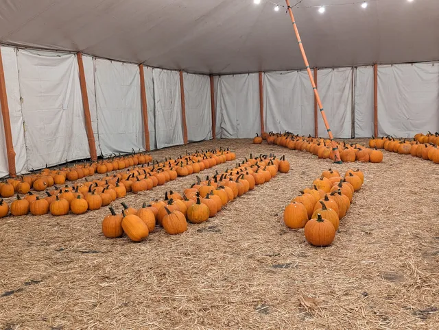 Del Mar Pumpkin Station Pumpkin Patch