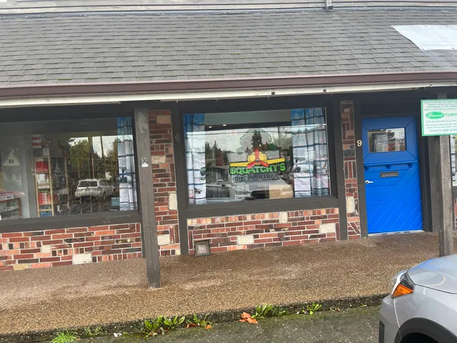 Squatchy's Diecast Hangar