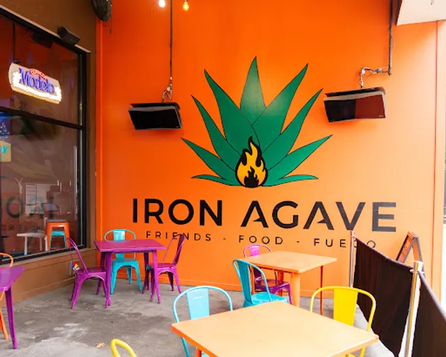 Iron Agave