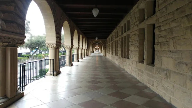 Olives at Building 160