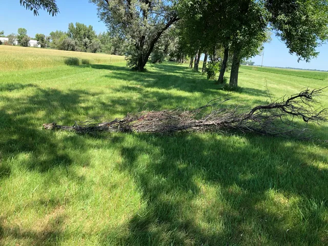 Northland Community & Technical College