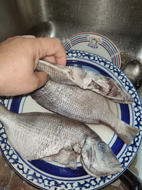 Mattapan Fish Market