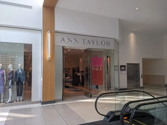 Ann Taylor