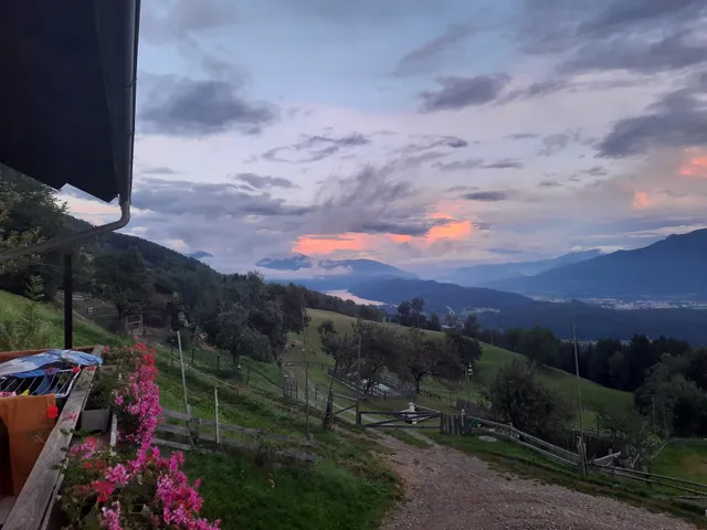 Bergbauernhof Stauder - Hirschbergalpakas