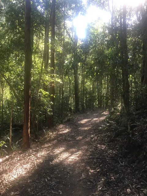 Barrington Wilderness Cedar Lodge Accommodation