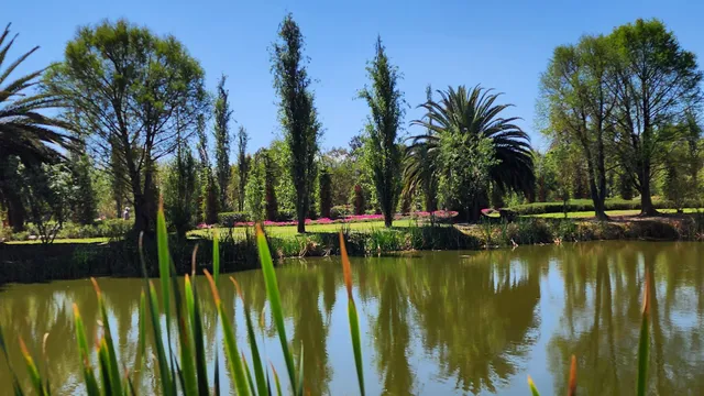 Lago Parque Ecológico