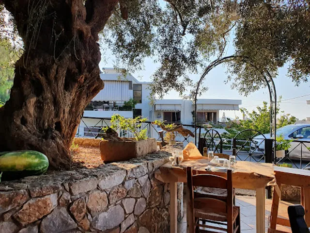 Ελιά Ταβέρνα