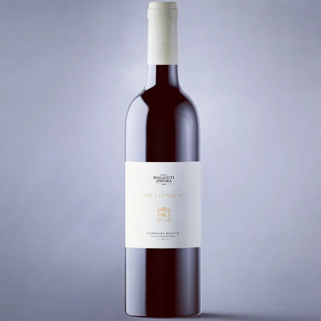 Vigneti Malaguti Anfora