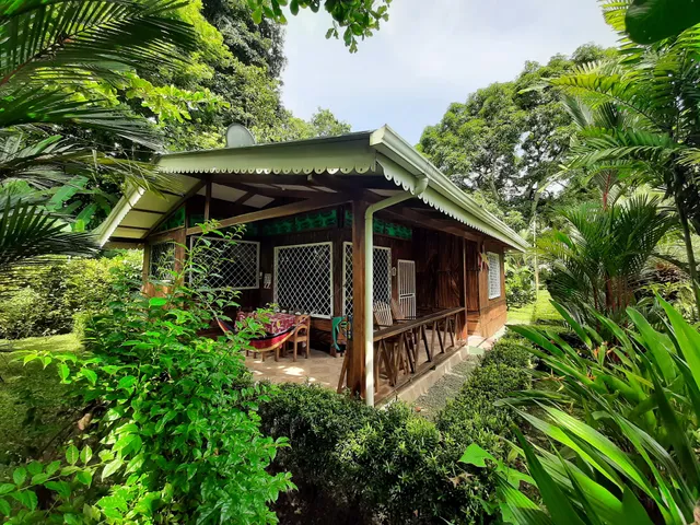 Casas New Caribe Point