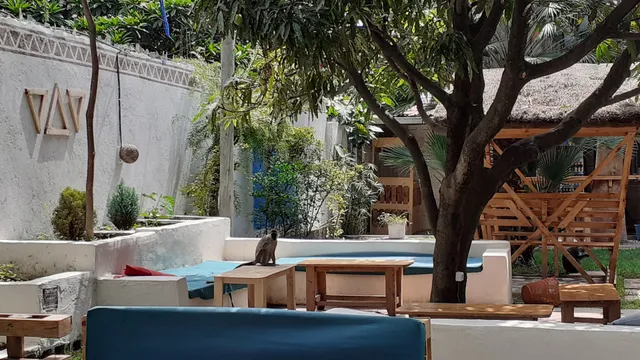 Zanzibar Lounge & Restaurant