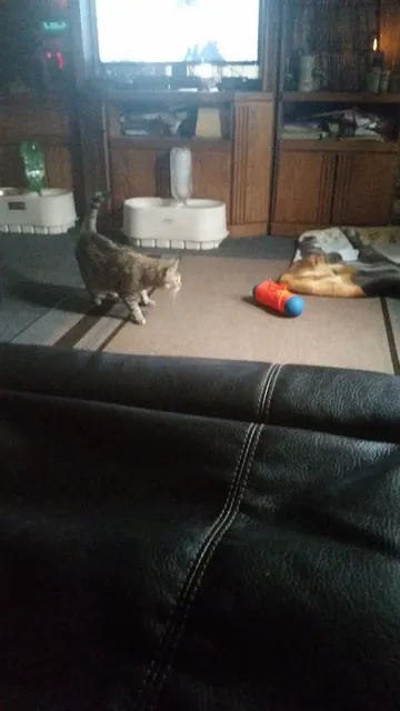 Stourbridge Square Associates