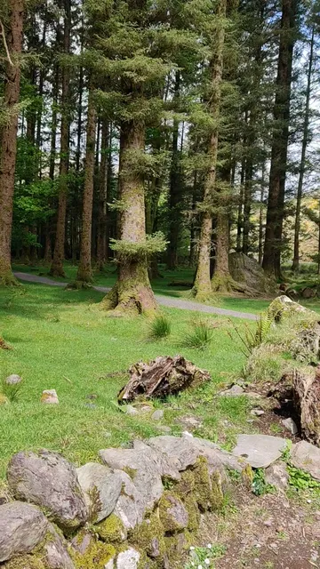 Gougane Barra Forest Park Car Park