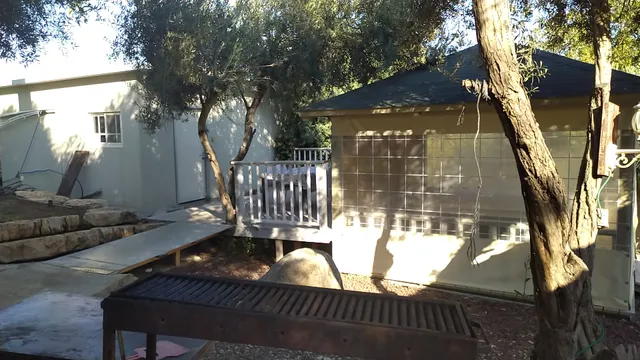 BB through the olive Yavneel