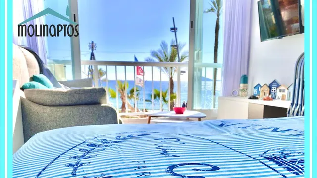 Estudio 32 Molinaptos