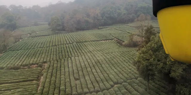 Hangzhou Buddha Soul Inn