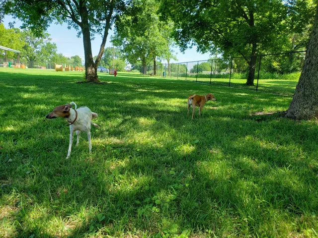 Cat Creek Dog Park