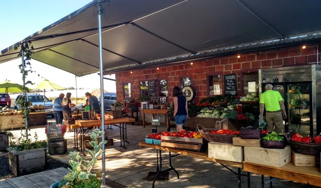 Groundwork Organics- Office / Wholesale / Deliveries